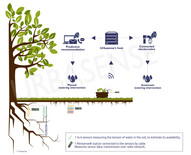 schema tensiometrie en