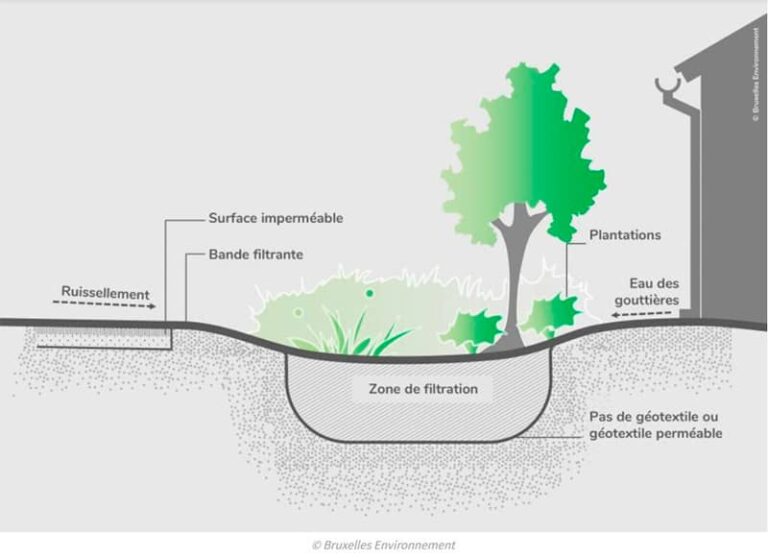 Schéma arbres de pluie
