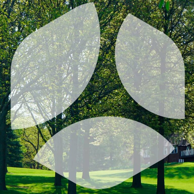 Image générique actualités, logo urbasense sur parc arboré