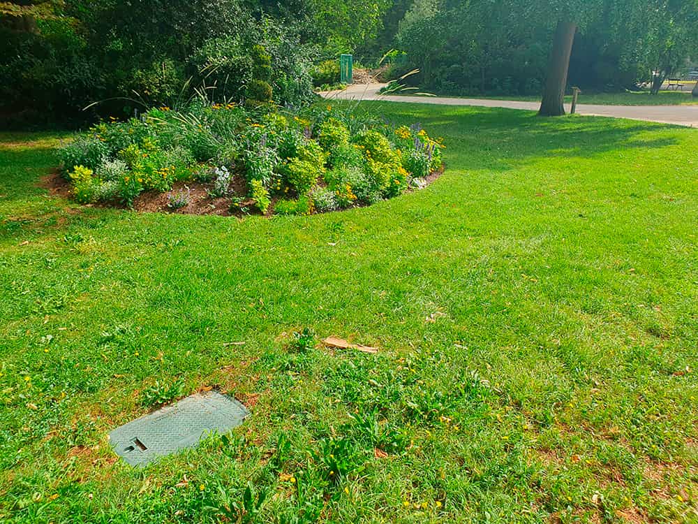 Photo parc et massif de fleurs