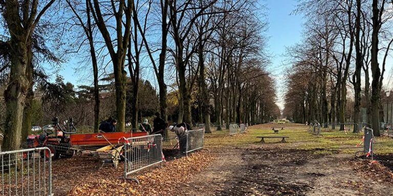 Alignement de tilleuls au parc de la Cité internationale universitaire de Paris
