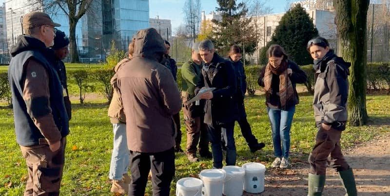 Installation d’un micro-capteur sur un tilleul par l’équipe Urbasense