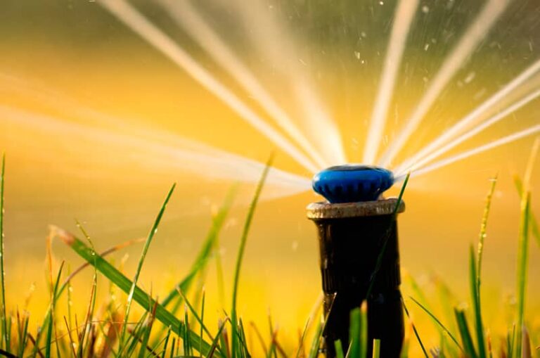 Photo irrigation agronomique