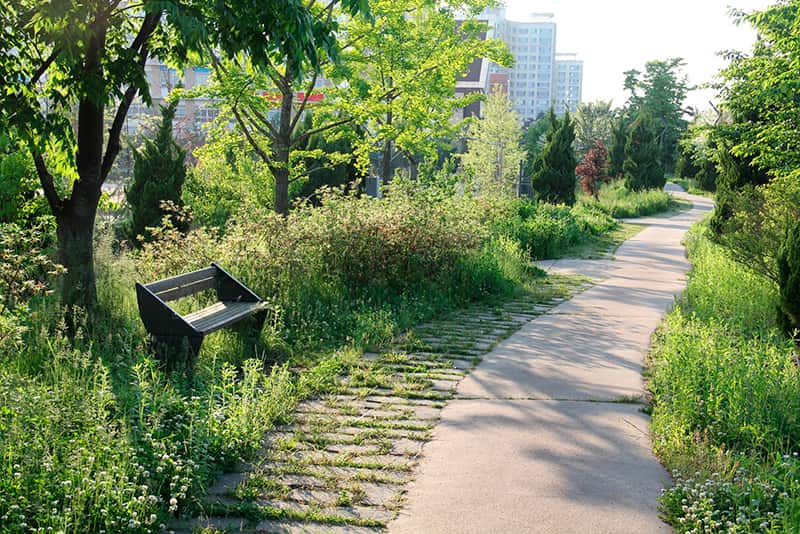 Photo espace paysager