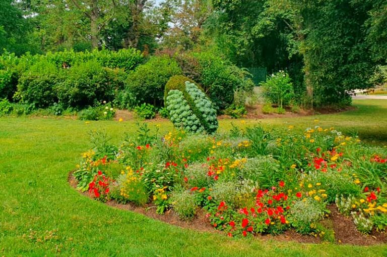 Photo massif de fleurs