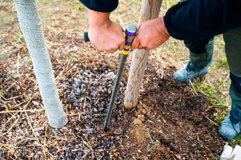 Photo installation capteurs Urbasense