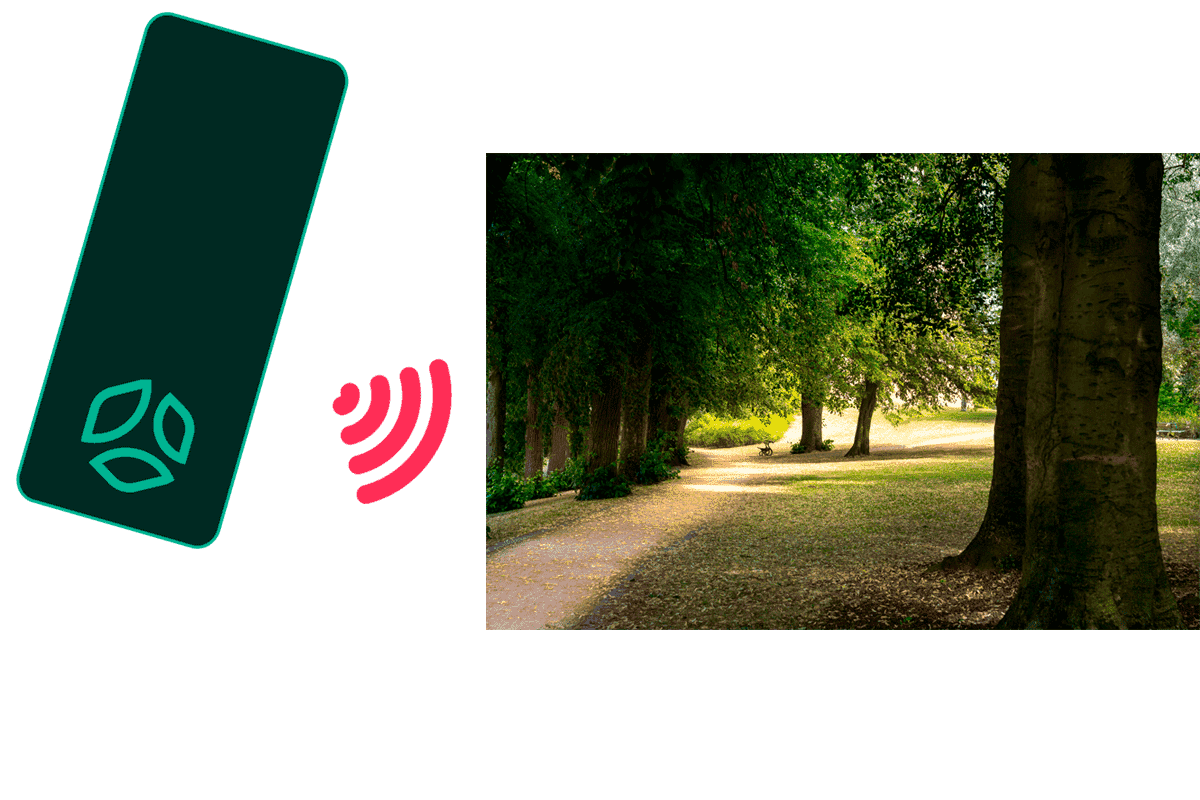 Schéma de minisense et photo d'un parc