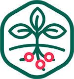 Pictogramme suivi tensiométrique arbres