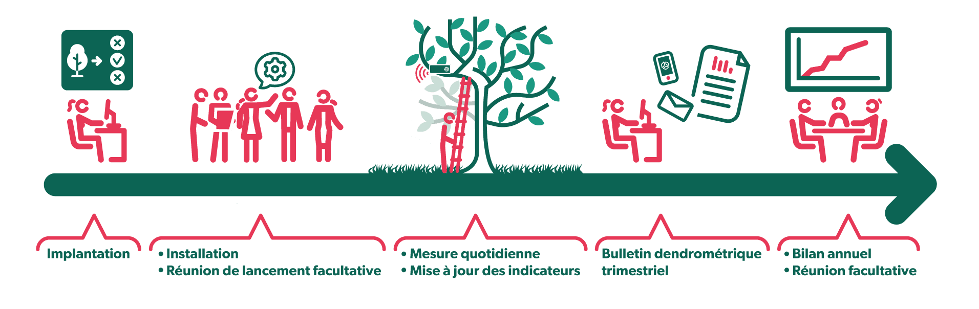 Schéma suivi micro -dendrométrique